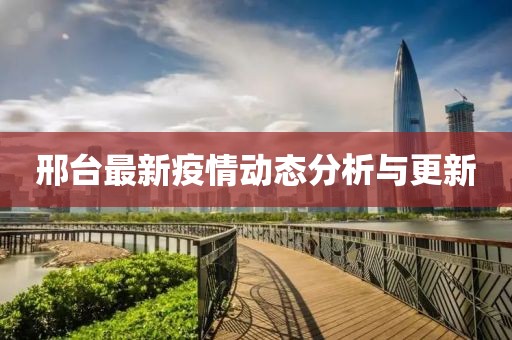 邢台最新疫情动态分析与更新