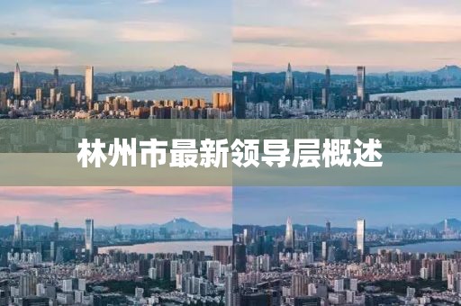 林州市最新领导层概述