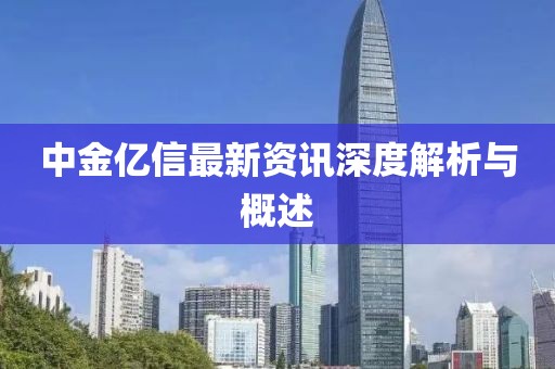 中金亿信最新资讯深度解析与概述