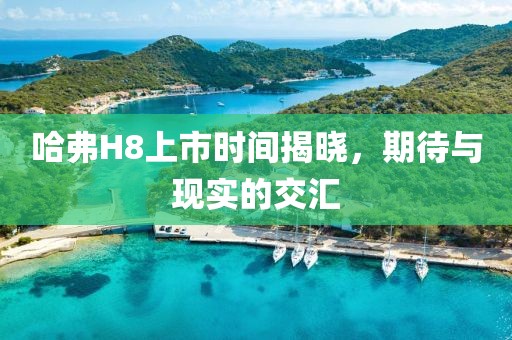 哈弗H8上市时间揭晓，期待与现实的交汇