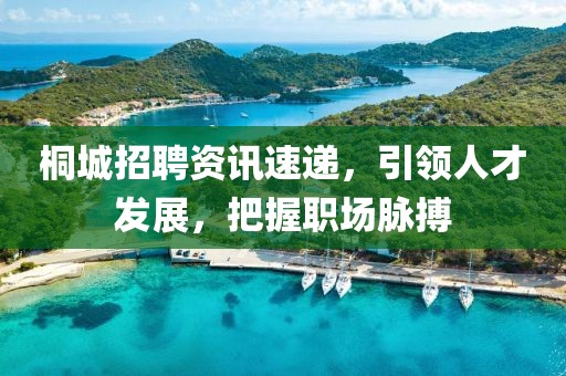 桐城招聘资讯速递，引领人才发展，把握职场脉搏
