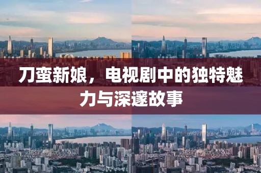 刀蛮新娘，电视剧中的独特魅力与深邃故事