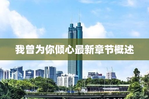我曾为你倾心最新章节概述