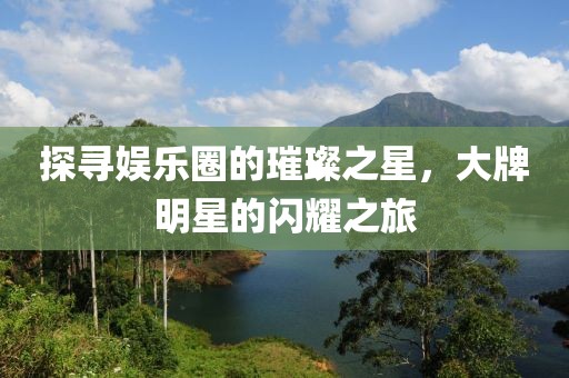 探寻娱乐圈的璀璨之星，大牌明星的闪耀之旅