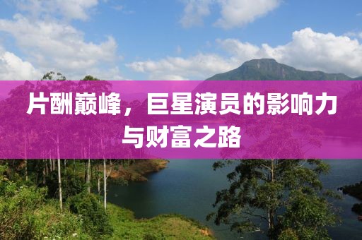 片酬巅峰，巨星演员的影响力与财富之路