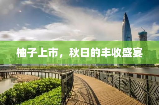 柚子上市，秋日的丰收盛宴