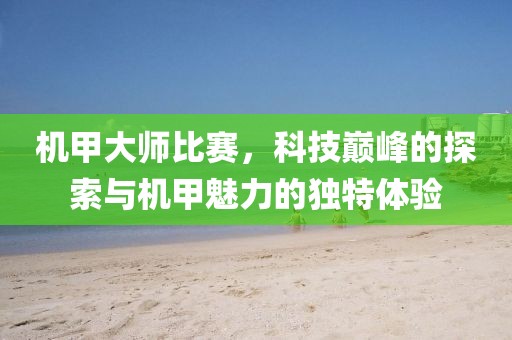 机甲大师比赛，科技巅峰的探索与机甲魅力的独特体验