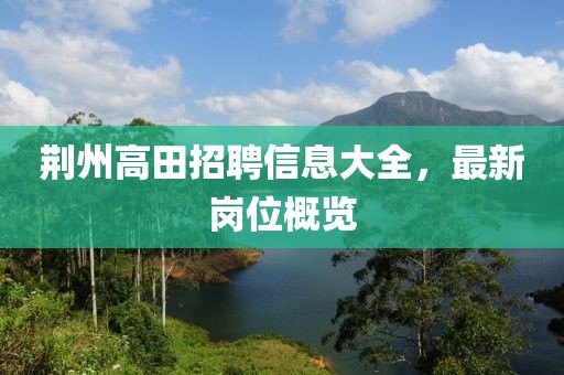 荆州高田招聘信息大全，最新岗位概览