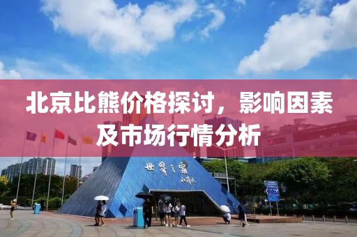 北京比熊价格探讨，影响因素及市场行情分析
