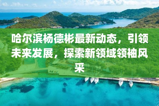 哈尔滨杨德彬最新动态，引领未来发展，探索新领域领袖风采