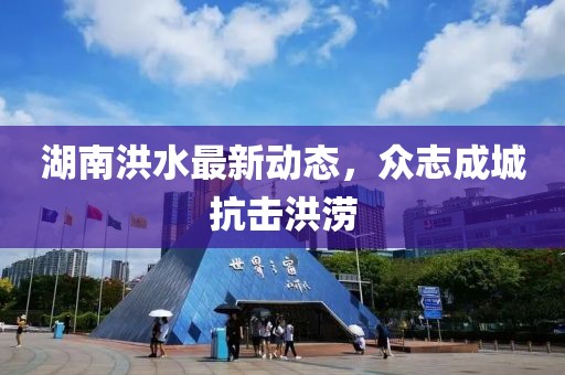 湖南洪水最新动态，众志成城抗击洪涝
