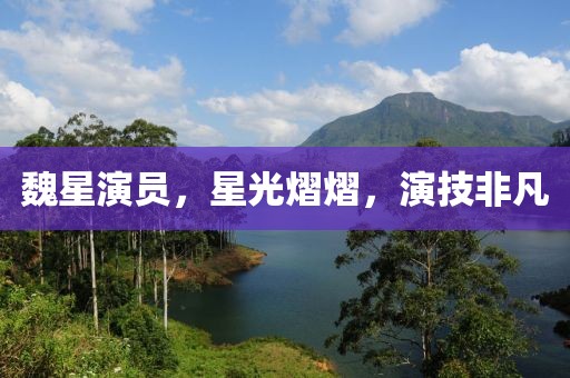 魏星演员，星光熠熠，演技非凡