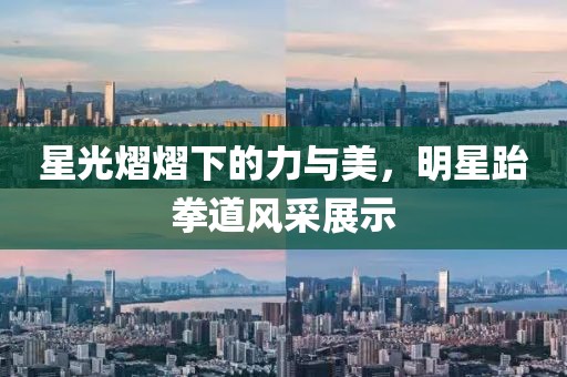 星光熠熠下的力与美，明星跆拳道风采展示