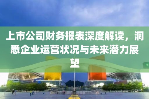 上市公司财务报表深度解读，洞悉企业运营状况与未来潜力展望