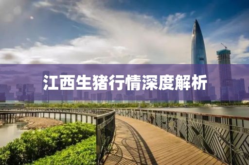 江西生猪行情深度解析