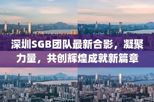 深圳SGB团队最新合影，凝聚力量，共创辉煌成就新篇章