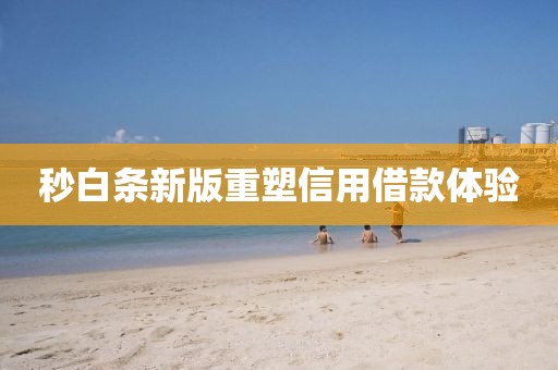 秒白条新版重塑信用借款体验