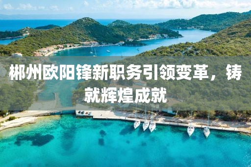 郴州欧阳锋新职务引领变革，铸就辉煌成就