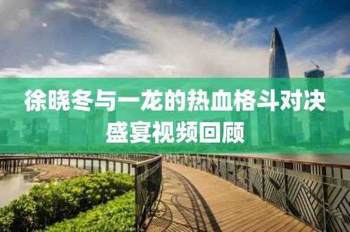 徐晓冬与一龙的热血格斗对决盛宴视频回顾