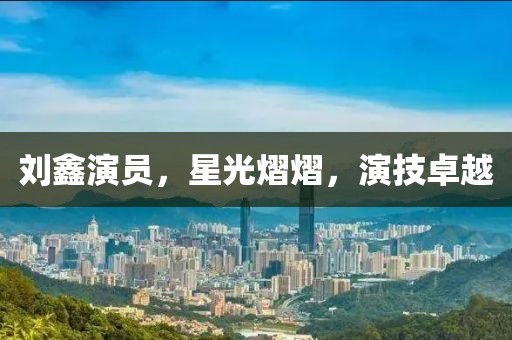 刘鑫演员，星光熠熠，演技卓越