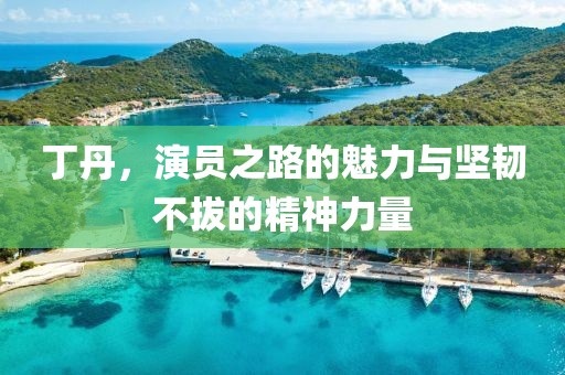 丁丹，演员之路的魅力与坚韧不拔的精神力量