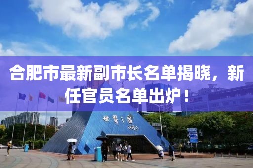 合肥市最新副市长名单揭晓，新任官员名单出炉！