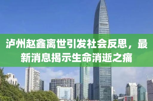 泸州赵鑫离世引发社会反思，最新消息揭示生命消逝之痛
