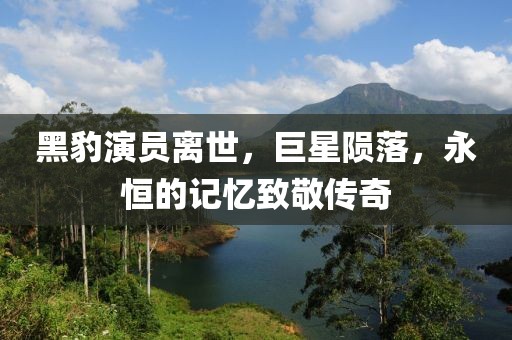黑豹演员离世，巨星陨落，永恒的记忆致敬传奇
