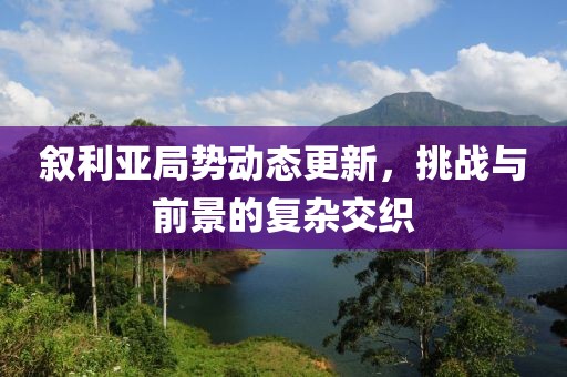 叙利亚局势动态更新，挑战与前景的复杂交织