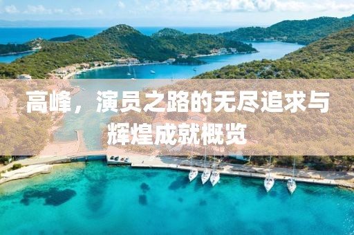 高峰，演员之路的无尽追求与辉煌成就概览