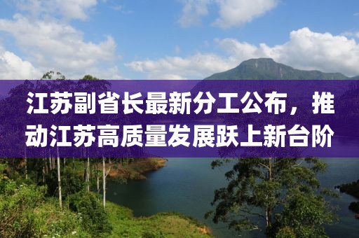 江苏副省长最新分工公布，推动江苏高质量发展跃上新台阶
