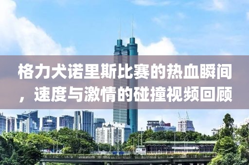 格力犬诺里斯比赛的热血瞬间，速度与激情的碰撞视频回顾
