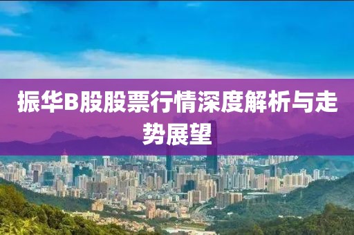 振华B股股票行情深度解析与走势展望