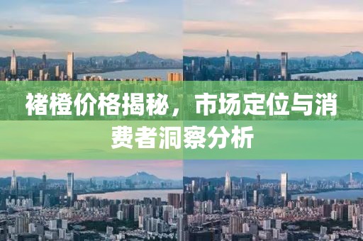 褚橙价格揭秘，市场定位与消费者洞察分析
