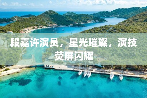 段嘉许演员，星光璀璨，演技荧屏闪耀