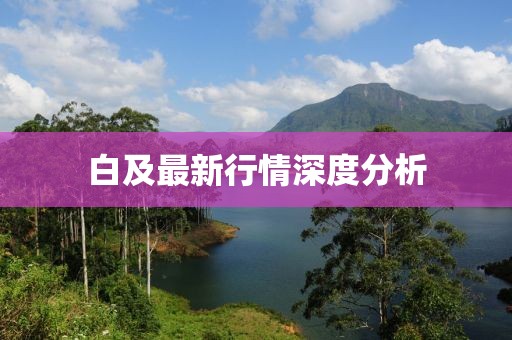 白及最新行情深度分析