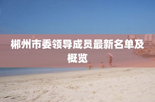郴州市委领导成员最新名单及概览