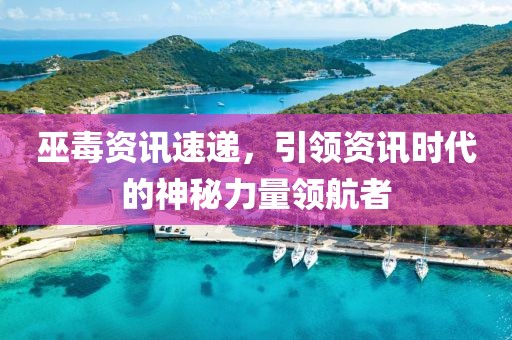 巫毒资讯速递，引领资讯时代的神秘力量领航者