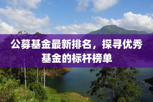 公募基金最新排名，探寻优秀基金的标杆榜单