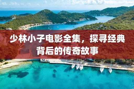 少林小子电影全集，探寻经典背后的传奇故事