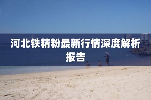河北铁精粉最新行情深度解析报告