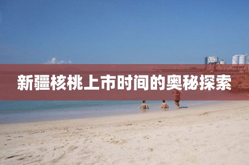 新疆核桃上市时间的奥秘探索