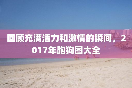 回顾充满活力和激情的瞬间，2017年跑狗图大全