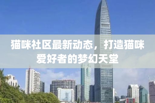 猫咪社区最新动态，打造猫咪爱好者的梦幻天堂