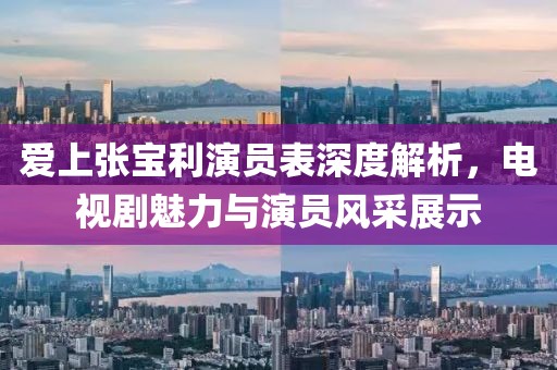 爱上张宝利演员表深度解析，电视剧魅力与演员风采展示