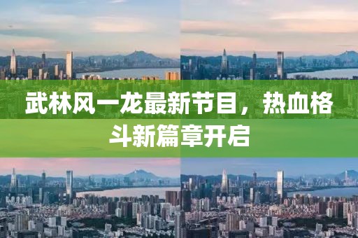 武林风一龙最新节目，热血格斗新篇章开启