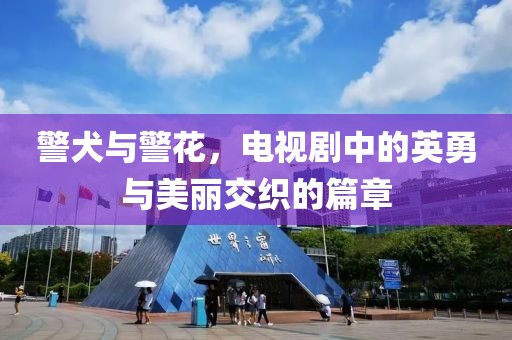 警犬与警花，电视剧中的英勇与美丽交织的篇章
