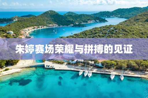 朱婷赛场荣耀与拼搏的见证