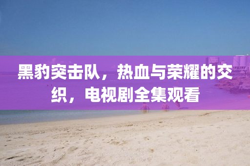黑豹突击队，热血与荣耀的交织，电视剧全集观看