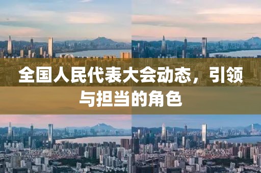全国人民代表大会动态，引领与担当的角色